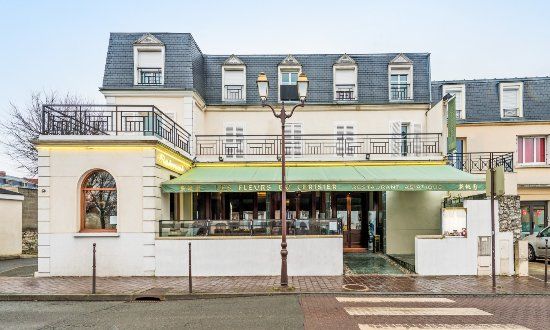 Les Fleurs Du Cerisier